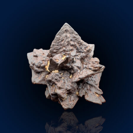 Goethite pseudo. Marcasite | Egypt, Farafra, White Desert