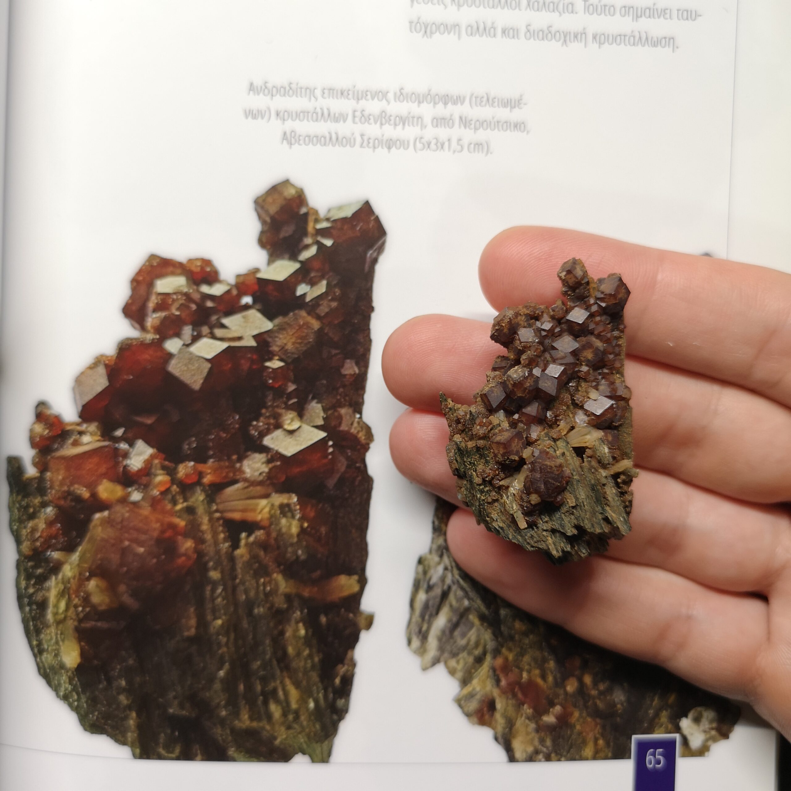 Andradite, Hedenbergite | Greece, Serifos, Neroutsika - Image 2